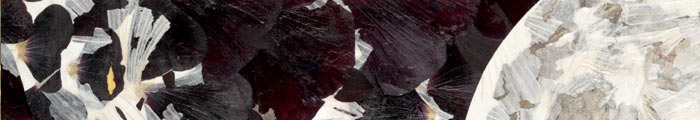 Detail - Reaching for the Moon