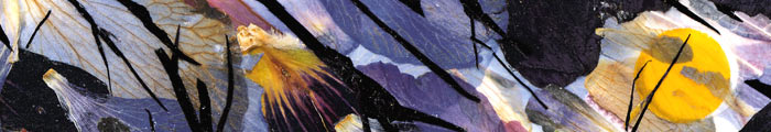 Detail - Swamp Moon
