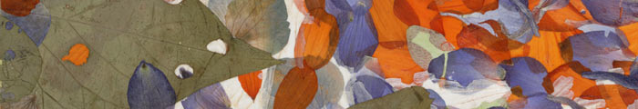 Detail - Mixing the Humors